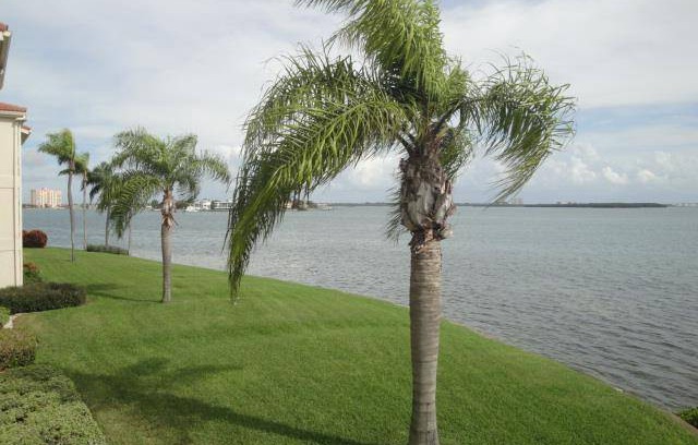 Palma del Mar Condo | Condo ∙ 2 bedrooms ∙ 4 guests