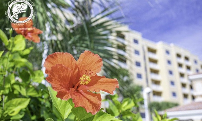 Palm Coast Condo | Condo ∙ 3 bedrooms ∙ 8 guests