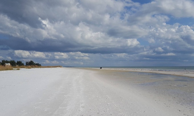 Bayshore Gardens Condo | Near Anna Maria Island Beaches - Olympic-size pool!