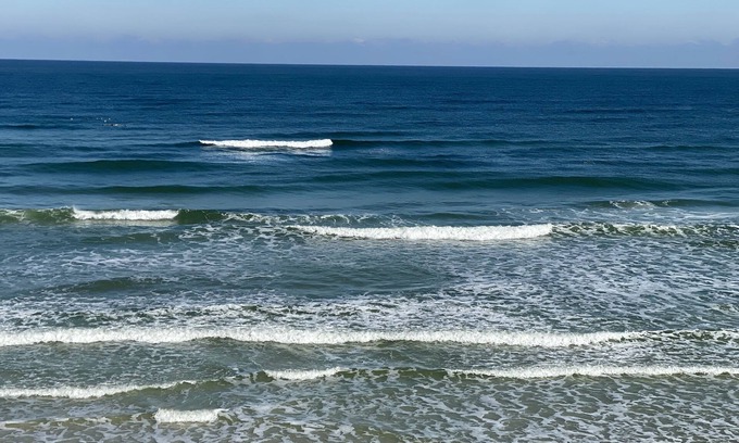 Port Orange Condo | Newly Remodeled! Upgrades throughout.Ocean View in Oceanfront Building. Pets OK!