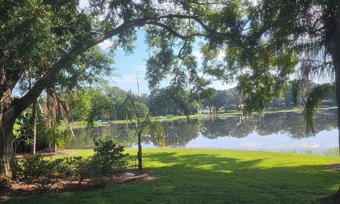 Forest Hills House | Serene Lakefront North Tampa Top-Notch 4-bed Courtyard Home Golf Cart Getaway