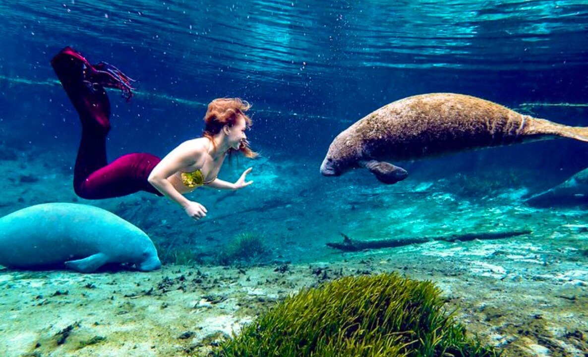 Spring Hill House | Weeki Wachee Crystal blue Springs river house with Kayaks