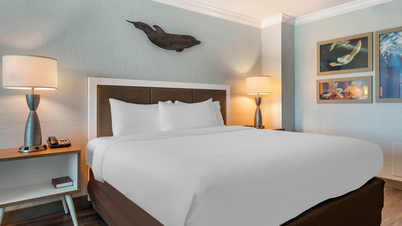 Photo of Bedroom in Clearwater Beach