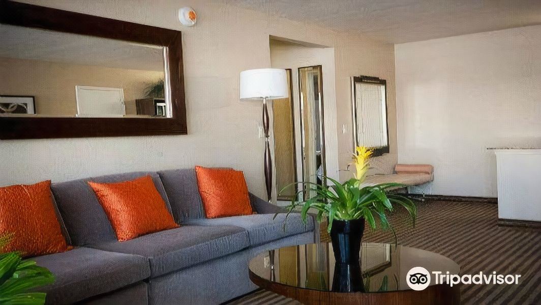 Photo of Livingroom in Venice