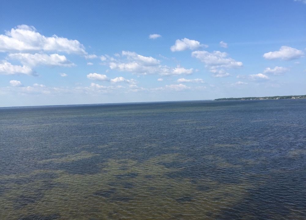 Photo of Outdoor in Sandestin