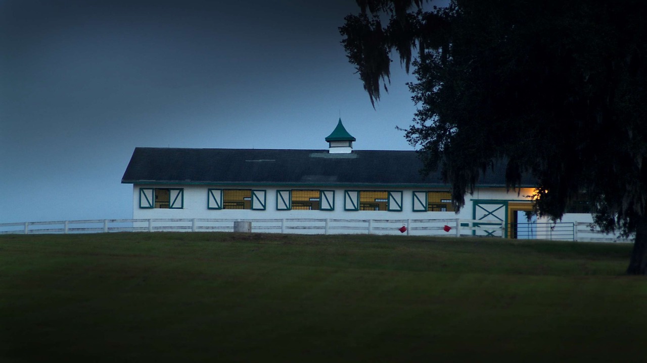 Photo of Buildings in Ocala