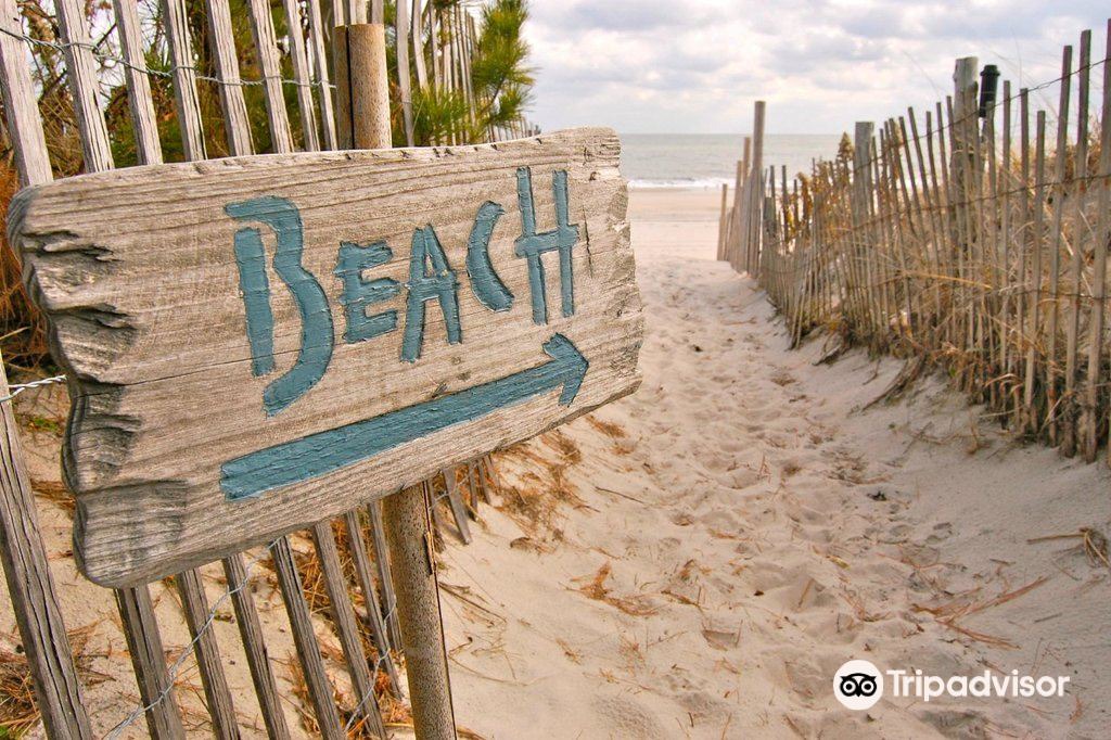 Photo of Others in Jacksonville Beach