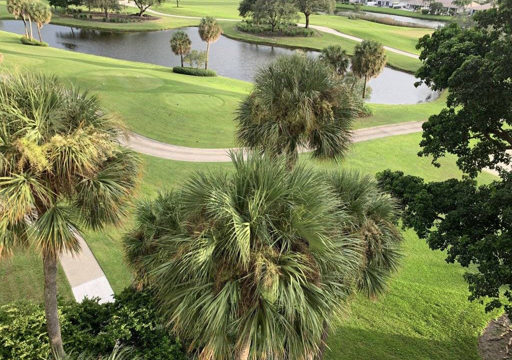 Photo of Others in Boca Raton