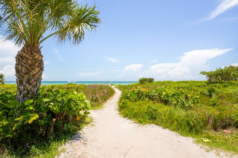 Photo of Others in Sanibel