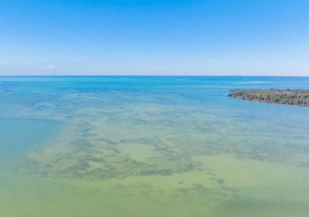 Photo of Others in Captiva