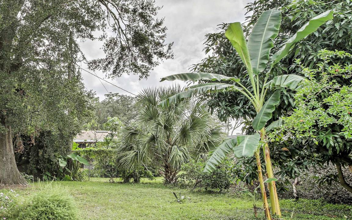 Photo of Others in Wekiva Springs