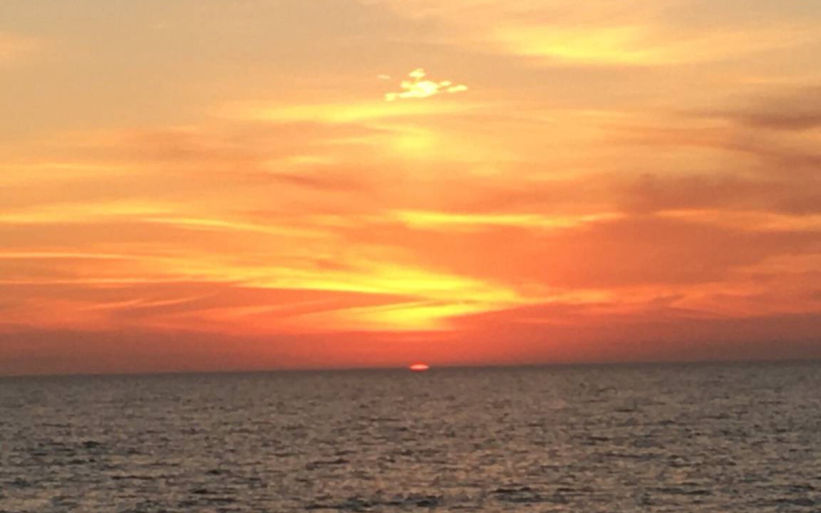 Photo of Others in Longboat Key