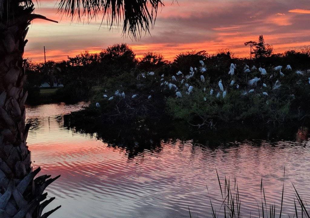 Photo of Others in Plantation