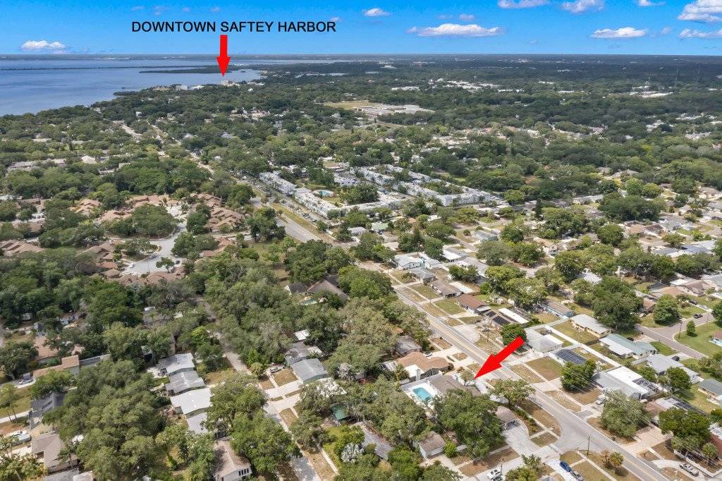 Photo of Others in Safety Harbor