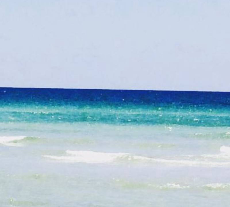 Photo of Others in Hallandale Beach