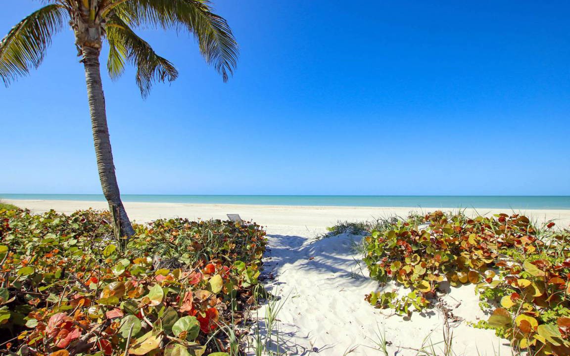 Photo of Outdoor in Captiva