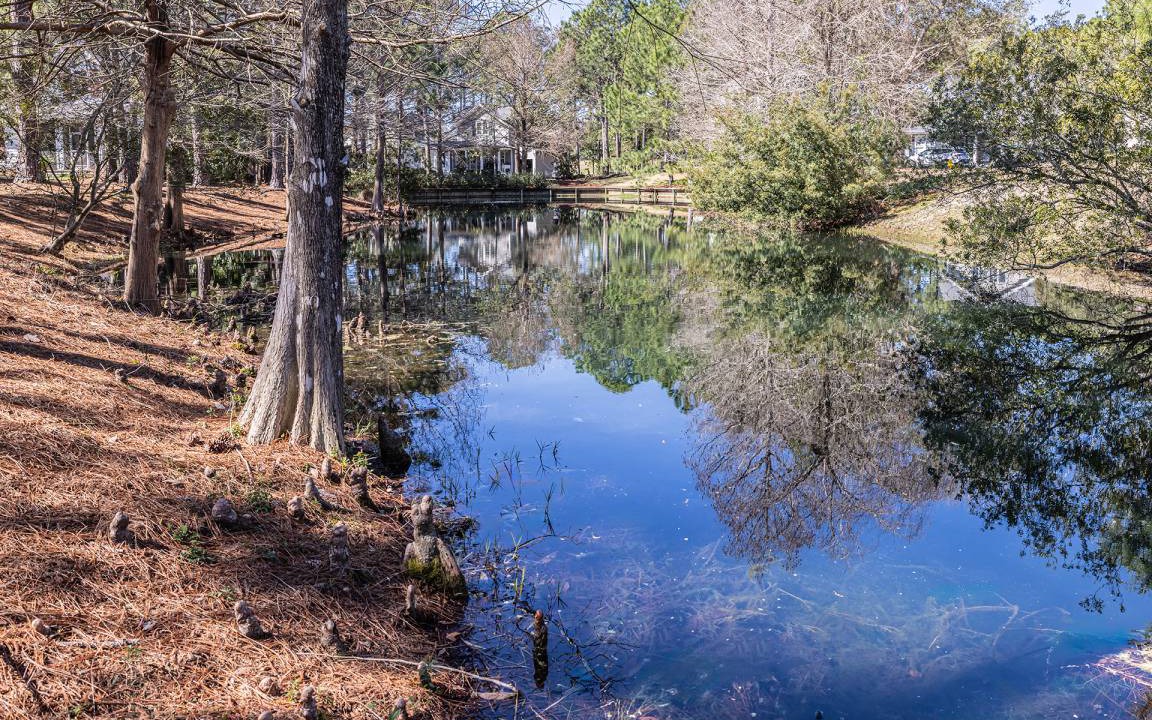 Photo of Others in Laurel Grove