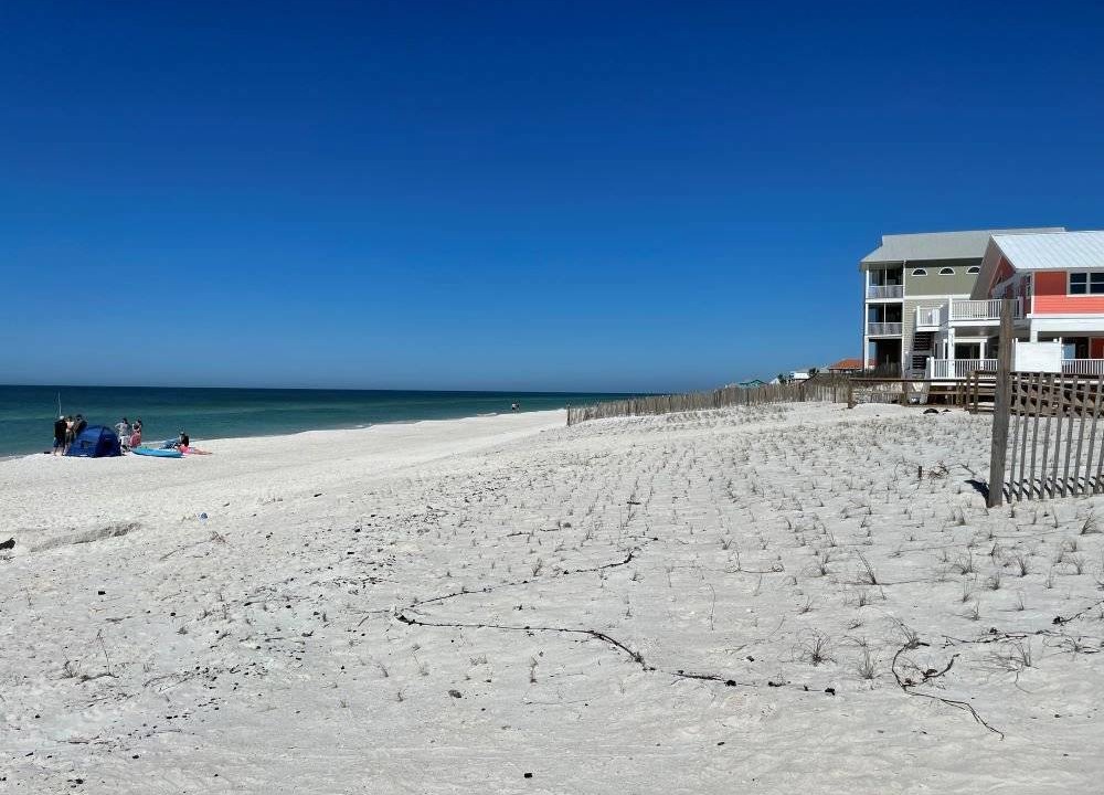 Photo of Others in Cape San Blas