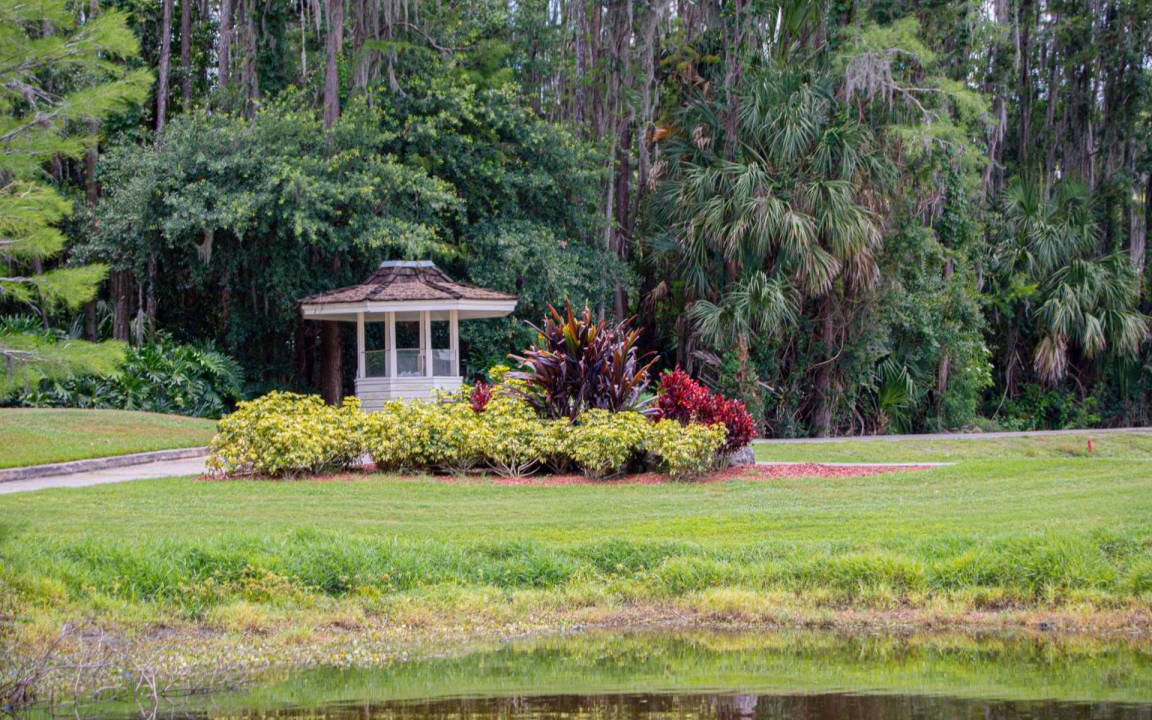 Photo of Others in Wesley Chapel