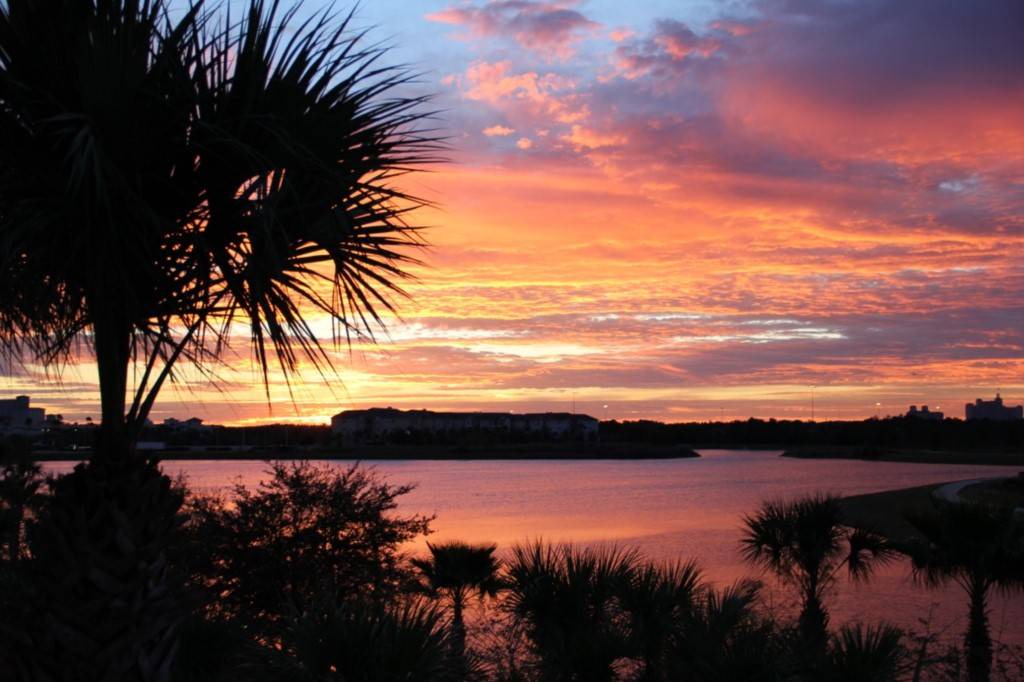 Photo of Others in Florida Central Atlantic Coast