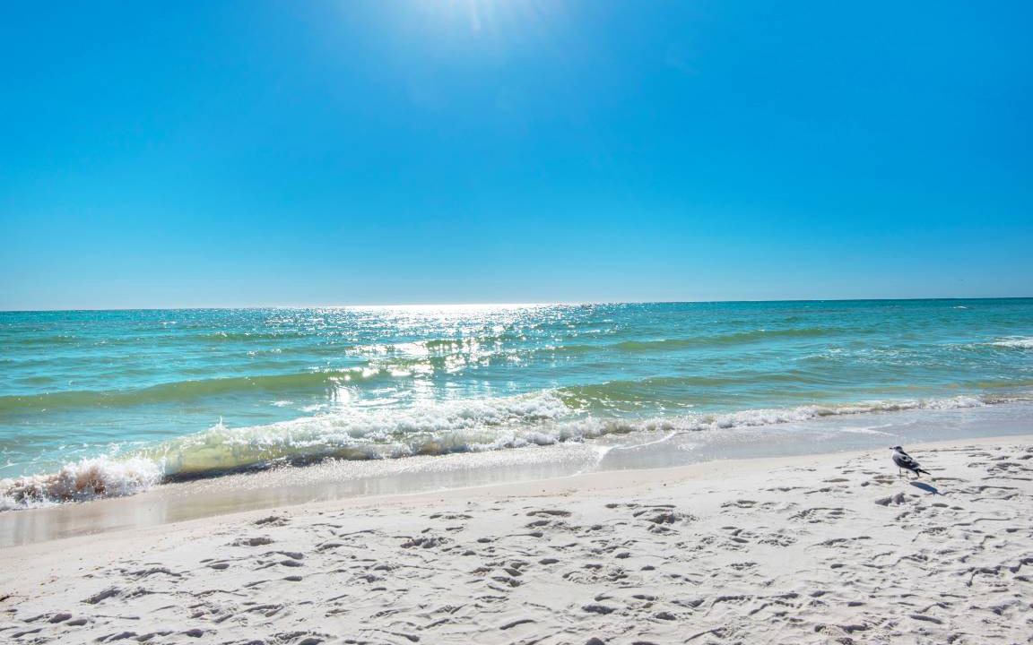 Photo of Others in Fort Walton Beach