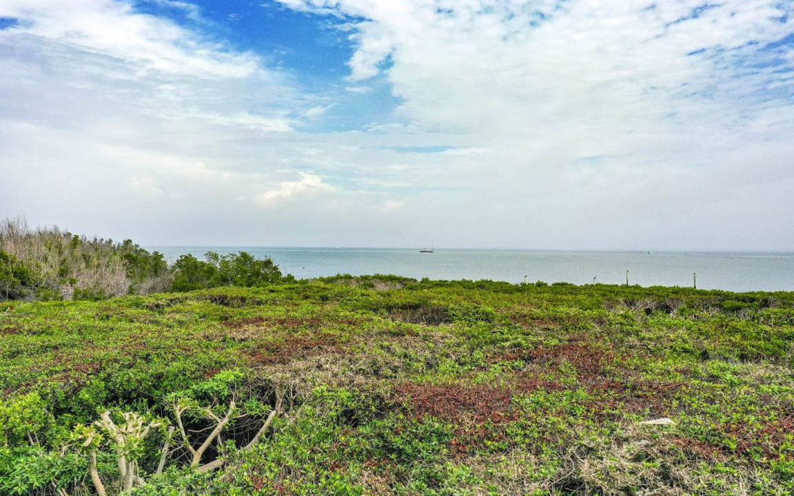 Photo of Outdoor in Captiva