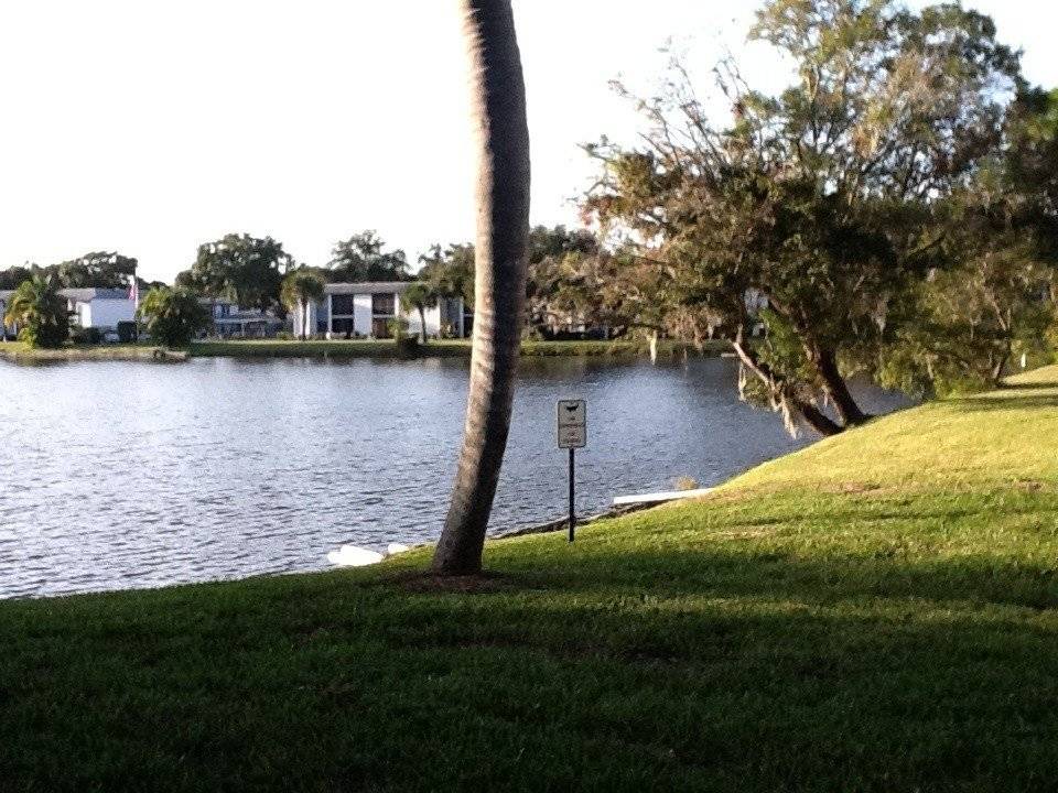 Photo of Others in Oldsmar
