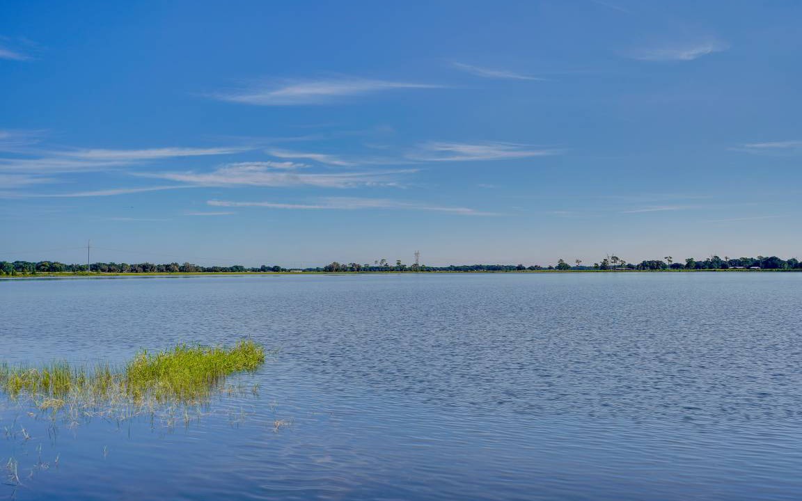 Photo of Others in Lake Wales