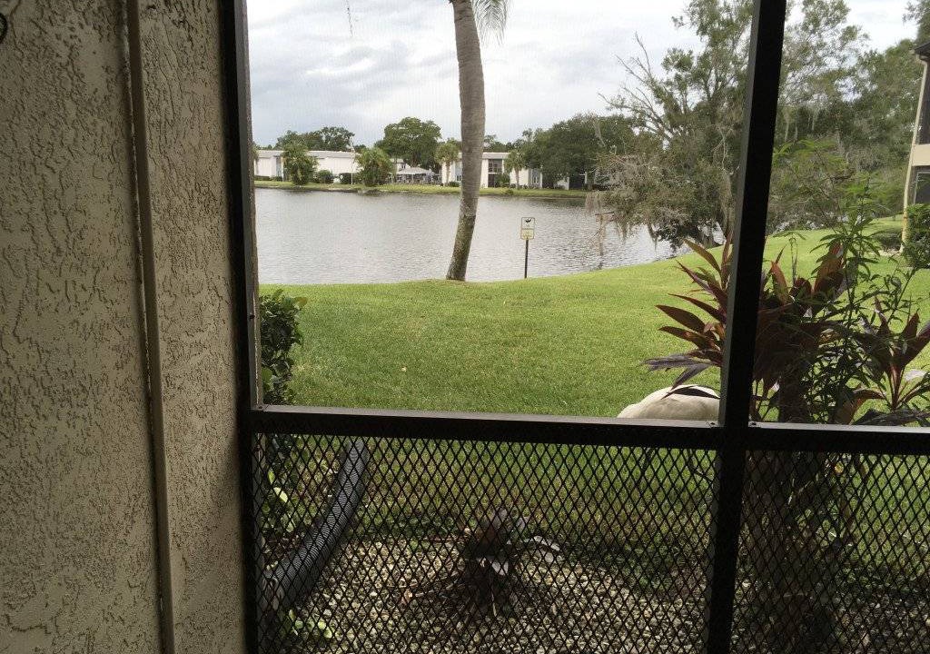 Photo of Others in Oldsmar