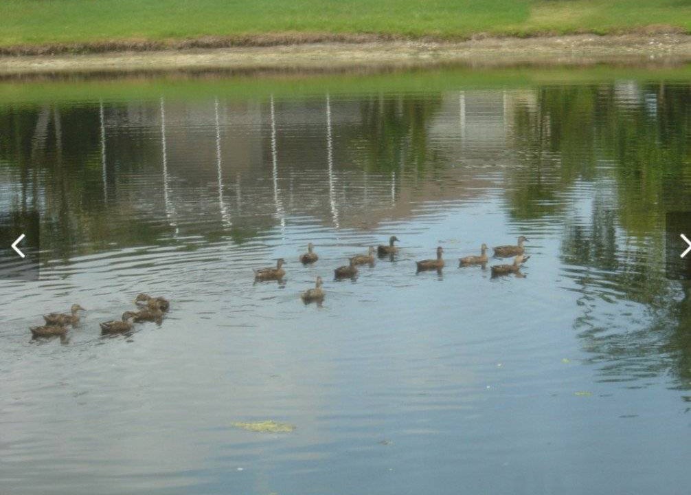 Photo of Others in River Pointe