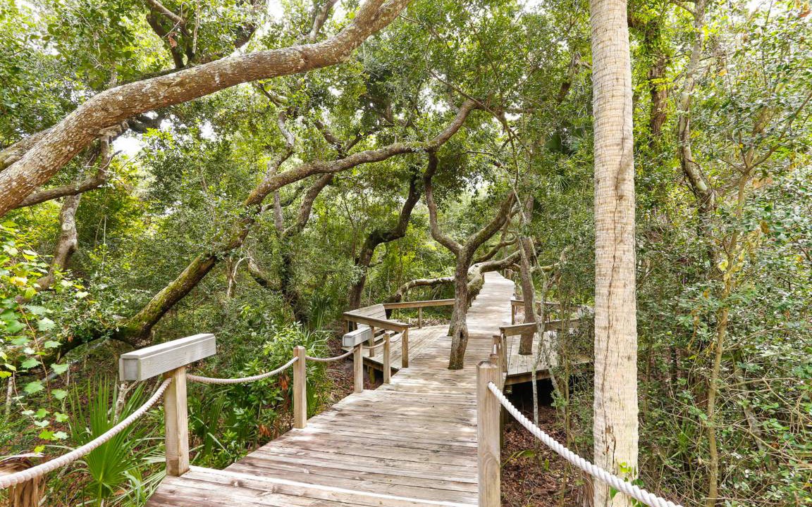 Photo of Others in Fernandina Beach