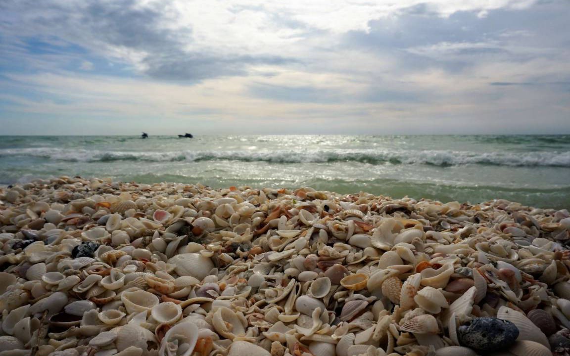 Photo of Others in Marco Island