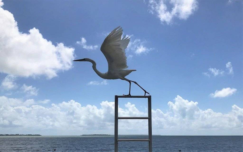 Photo of Others in Cudjoe Key
