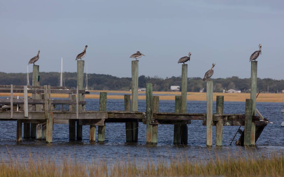 Photo of Others in Folly Beach