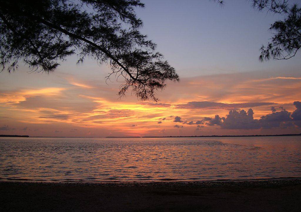Photo of Others in Sanibel