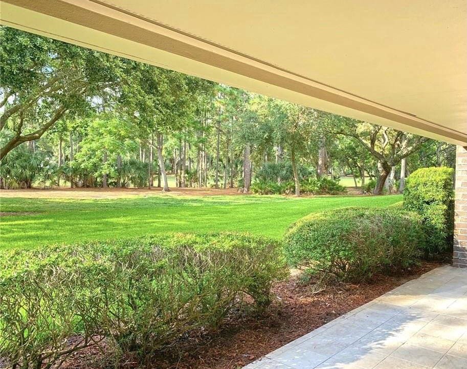 Photo of Others in Palm Harbor