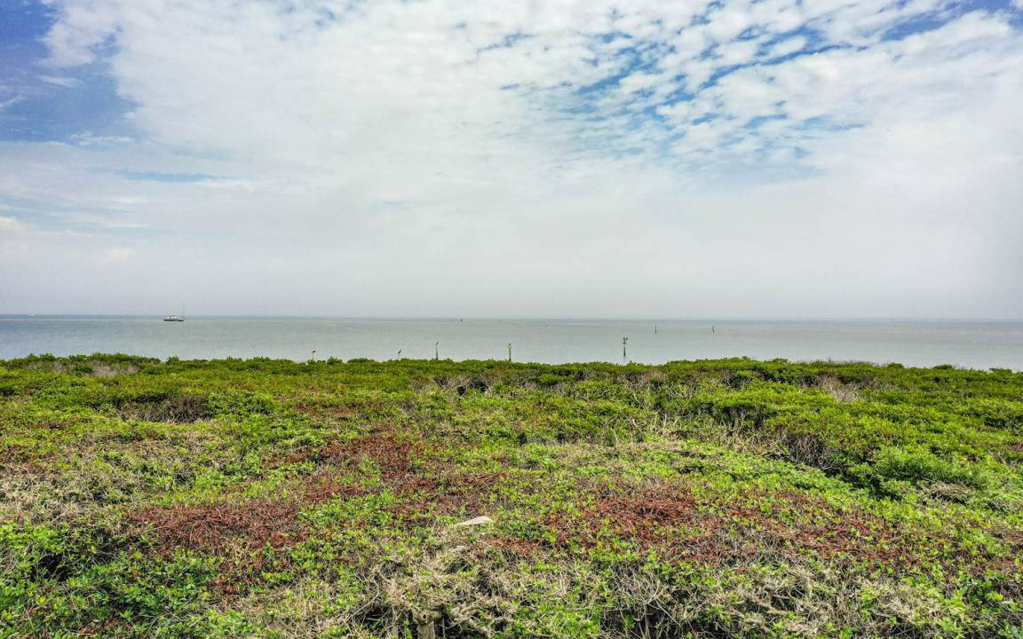 Photo of Outdoor in Captiva