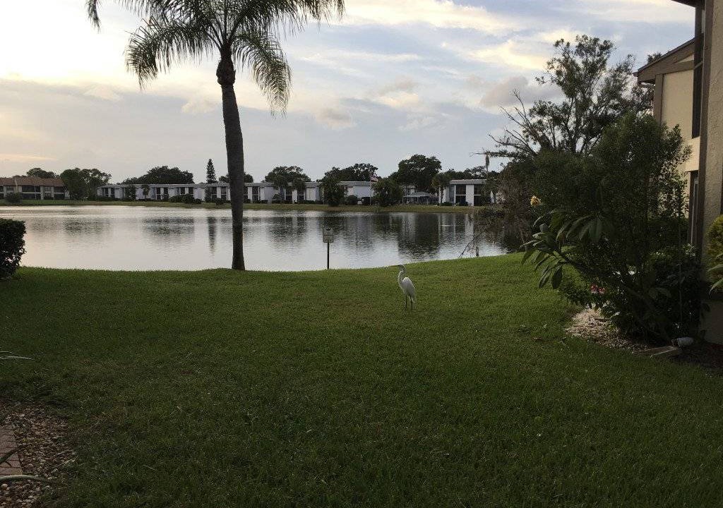 Photo of Others in Oldsmar