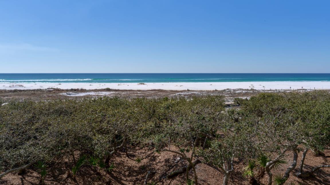 Photo of Others in WaterSound Beach