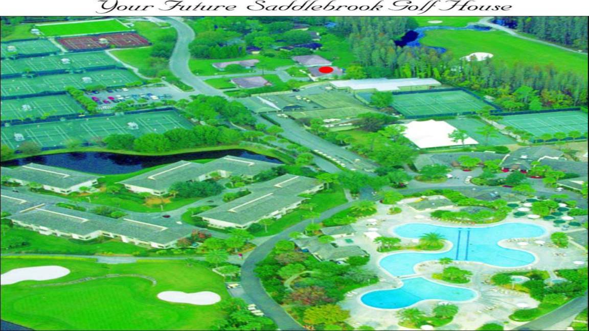 Photo of Others in Saddlebrook