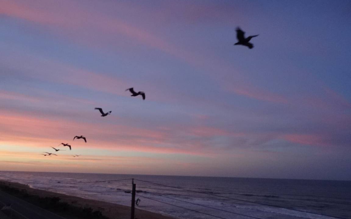 Photo of Others in Flagler Beach