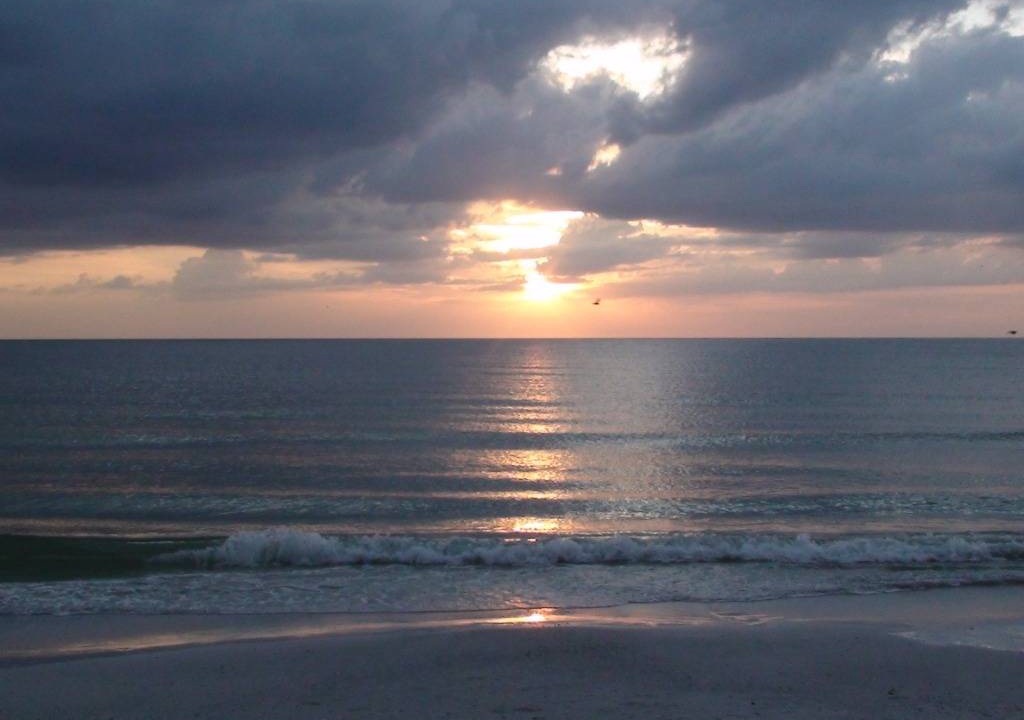 Photo of Others in Siesta Key