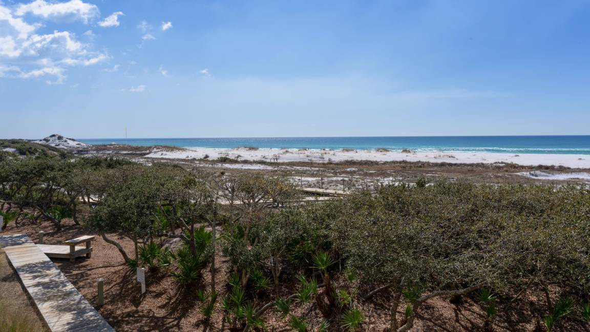 Photo of Others in WaterSound Beach