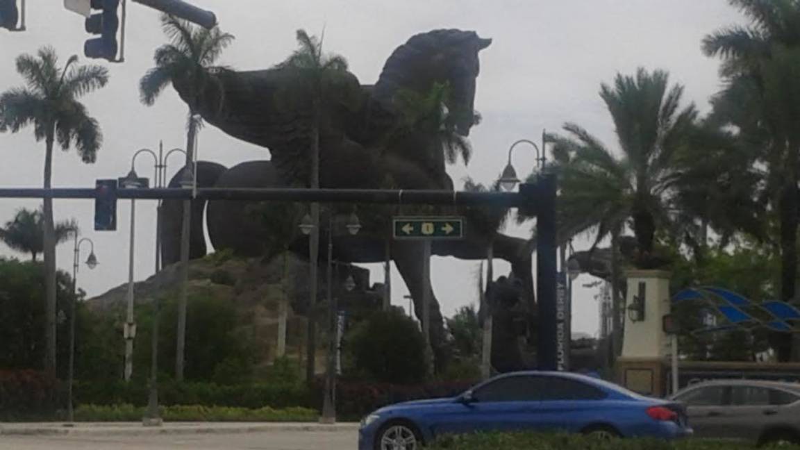 Photo of Others in Hallandale Beach