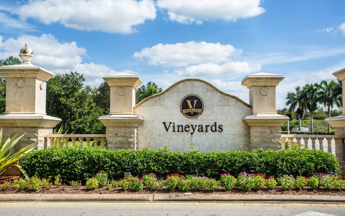 Photo of Others in Vineyards