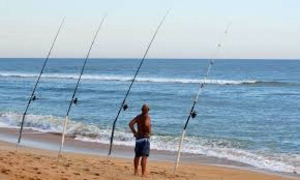 Photo of Others in Daytona Beach Shores