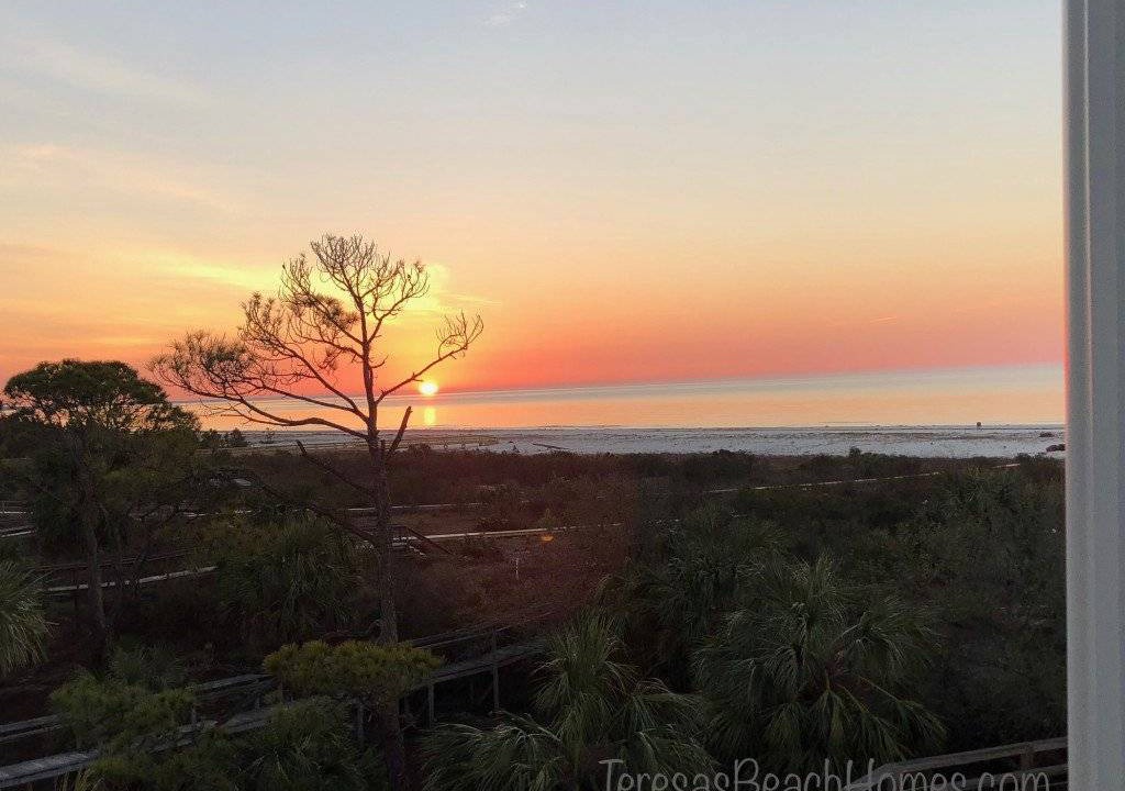 Photo of Others in Cape San Blas
