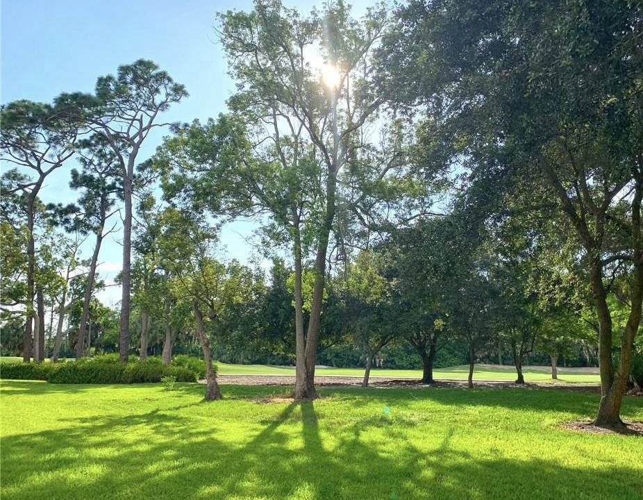 Photo of Others in Palm Harbor