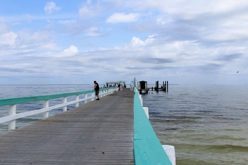 Photo of Others in Bokeelia