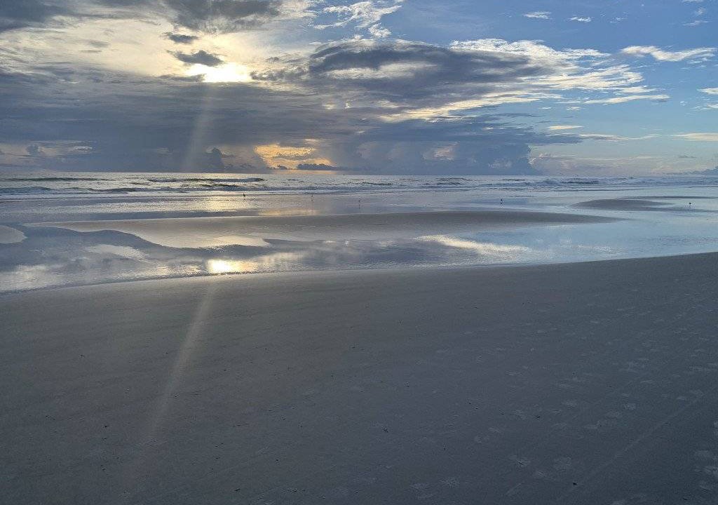 Photo of Others in Ponce Inlet